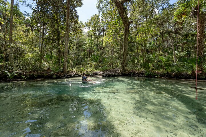 Chassahowitzka River Clear Kayak Springs & Manatee Tours  - Photo 1 of 8